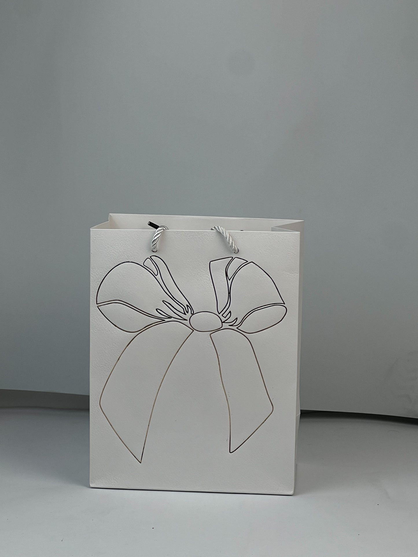 Gift Bags Design 6|| Pack of 12 Bags.
