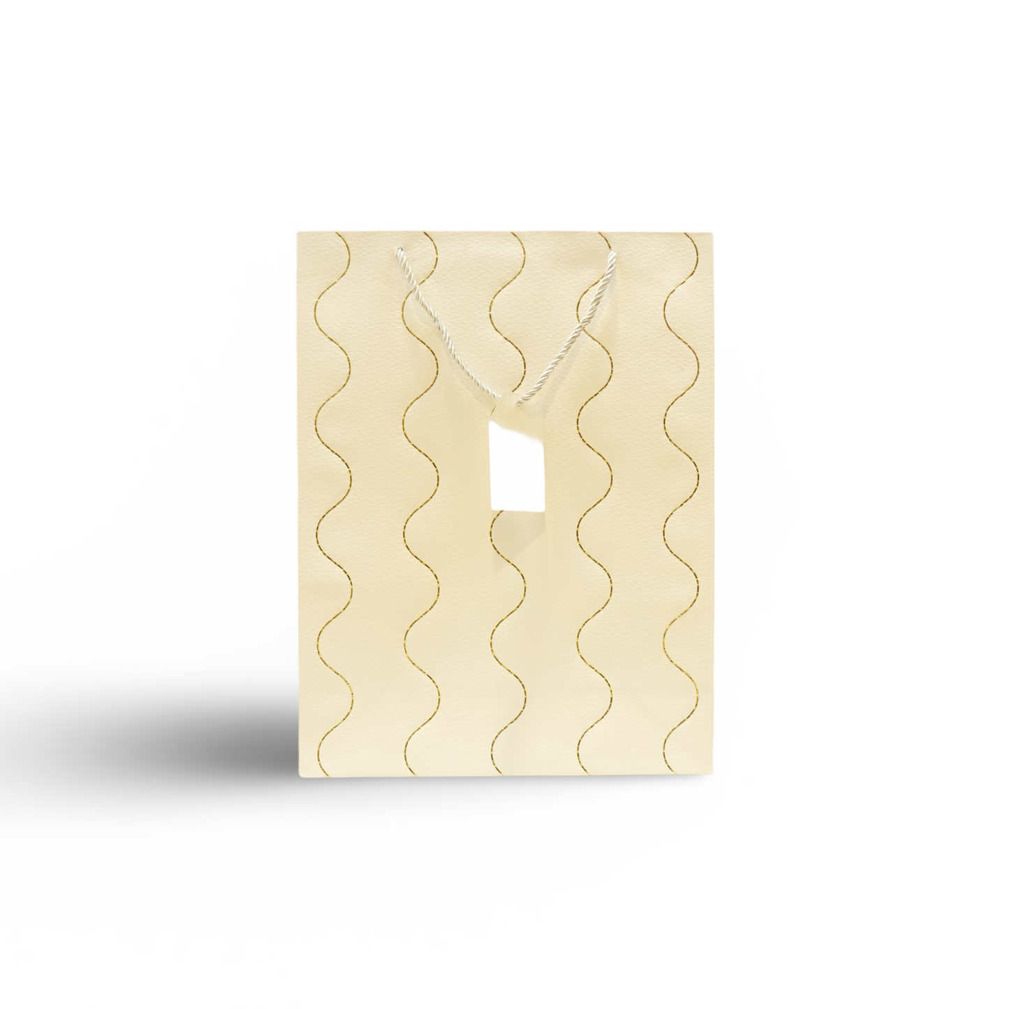 GIFT BAG. || Pack of 12 Bags.