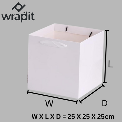 Wrapdit's Premium White Gift Bags with Handles – Sturdy, Biodegradable, and Recyclable Gift Bags for Shopping, Events, and Retail Packaging – Available in Multiple Sizes
