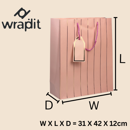 تصميم أكياس الهدايا 3|| عبوة من 12 كيسًا.