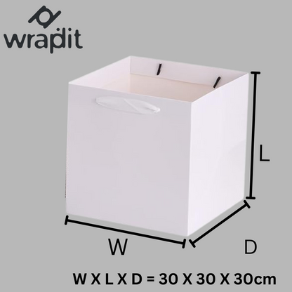 Wrapdit's Premium White Gift Bags with Handles – Sturdy, Biodegradable, and Recyclable Gift Bags for Shopping, Events, and Retail Packaging – Available in Multiple Sizes