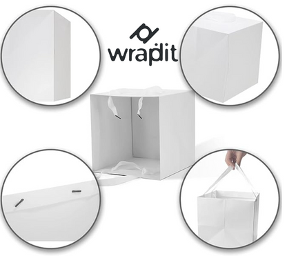 Wrapdit's Premium White Gift Bags with Handles – Sturdy, Biodegradable, and Recyclable Gift Bags for Shopping, Events, and Retail Packaging – Available in Multiple Sizes