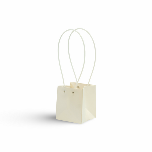 Stylish Paper Gift Bag with Sturdy Handles (Design 2)